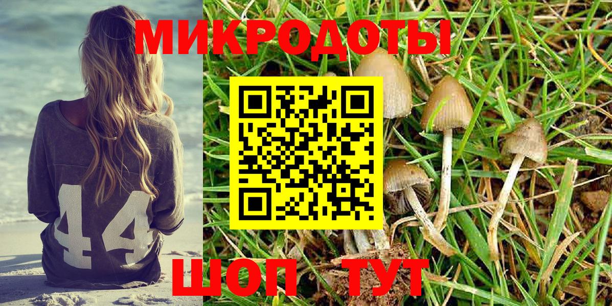 наркотики  Вход с VPN  Озёры  Псилоцибиновые грибы MAGIC MUSHROOMS 